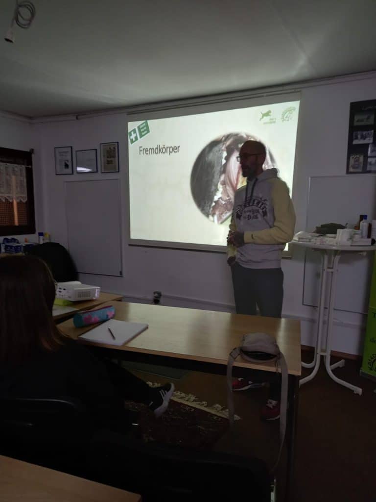 Wer schreibt hier überhaupt und warum? 6 HundeFaktenCheck Erste hilfe beim Hund Workshop