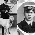 Hund Titanic ,Blogbeitrag Hundefaktencheck, Hundeschule ISerlohn, Kai Dahlhaus